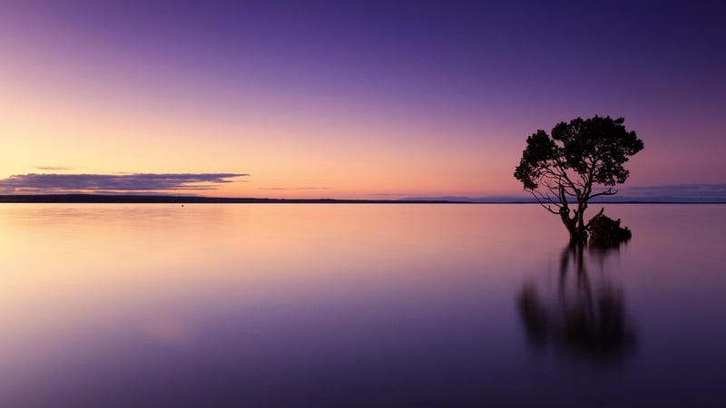 Golden Sunset